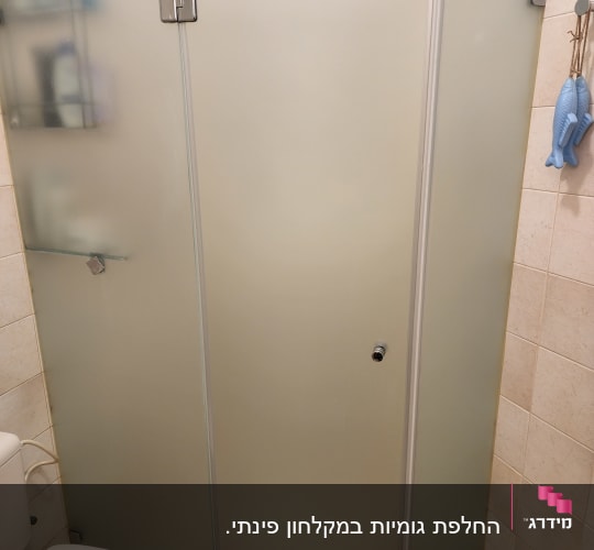 דלת זכוכית חלבית עם צירים ומתלה מתכת